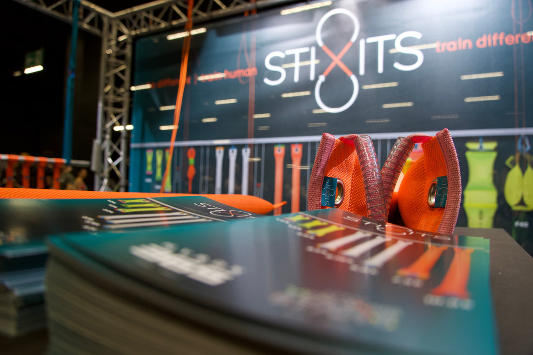 The Origin Story of STIXITS® & flownetiXs®