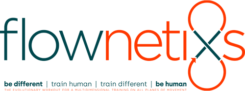 flownetiXs origin image